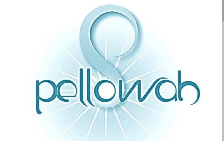 Pellowah 768x483